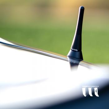 The Stubby Ford Mustang Convertible Antenne